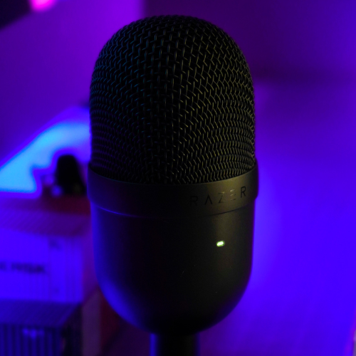 LOW-END MICROPHONES