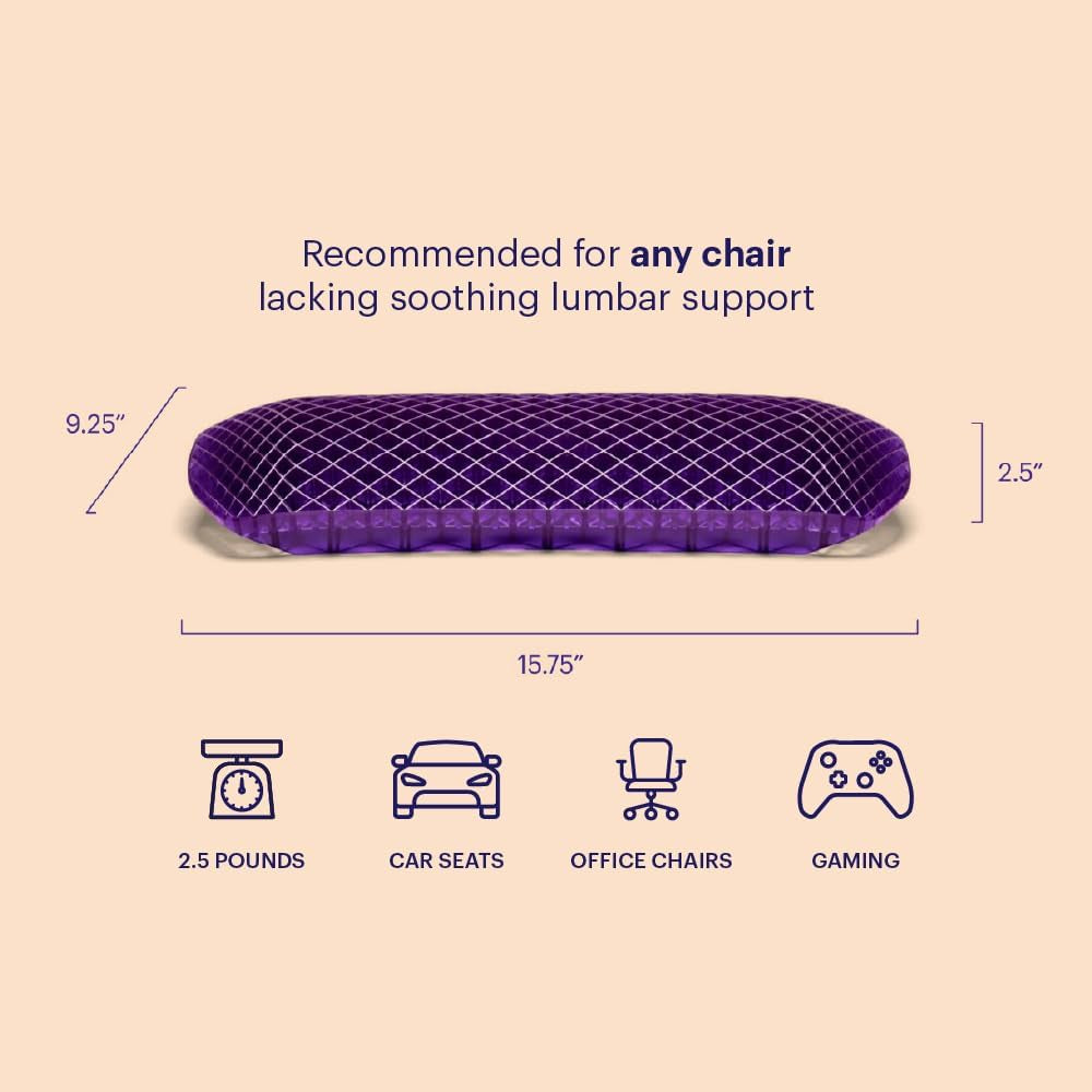 Back Cushion | Pressure Reducing Grid Designed for Ultimate Comfort | Designed for Chairs, Gaming, and Travel | Made in the USA